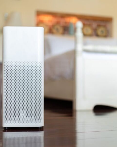 5 Top Air Purifiers for Clean, Easy Breathing